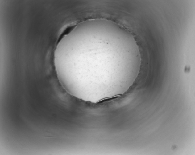 X0000103320144200809192149