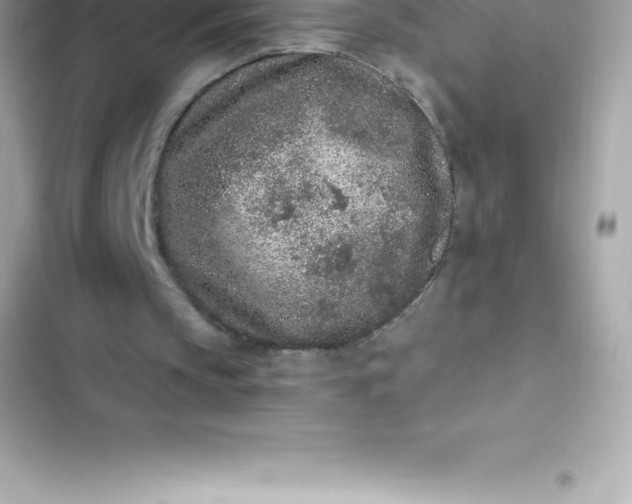 X0000103320145200809192148