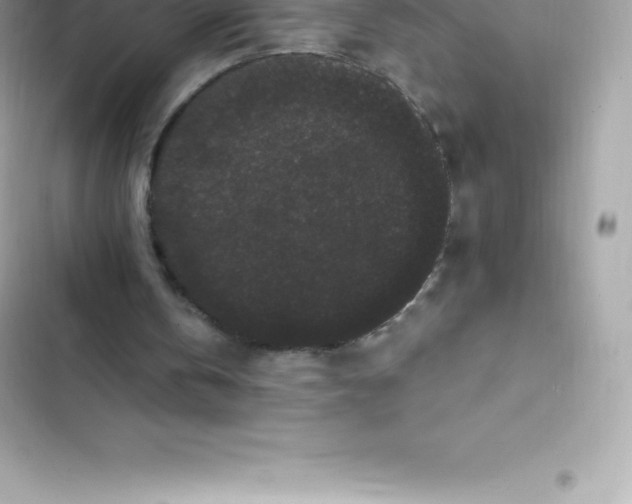 X0000103320146200809192148