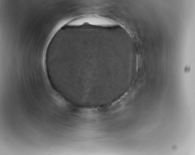 X0000103320147200809192148