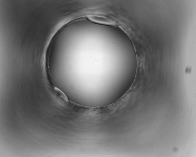 X0000103320148200809192148