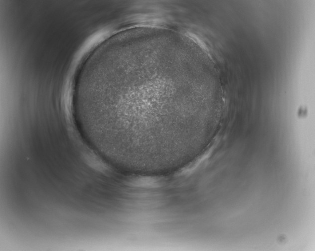 X0000103320149200809192148