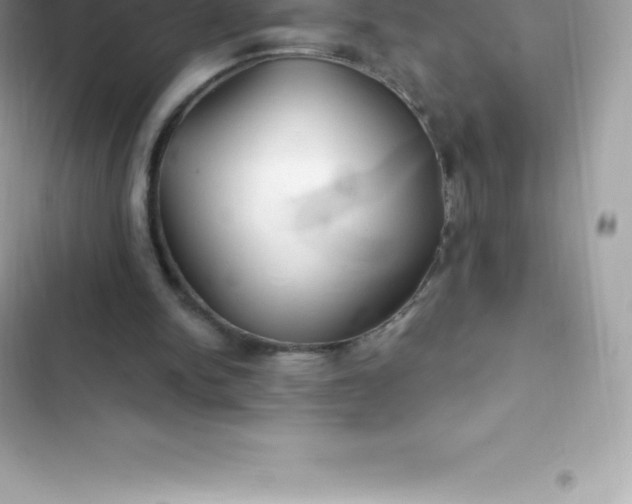 X0000103320150200809192148