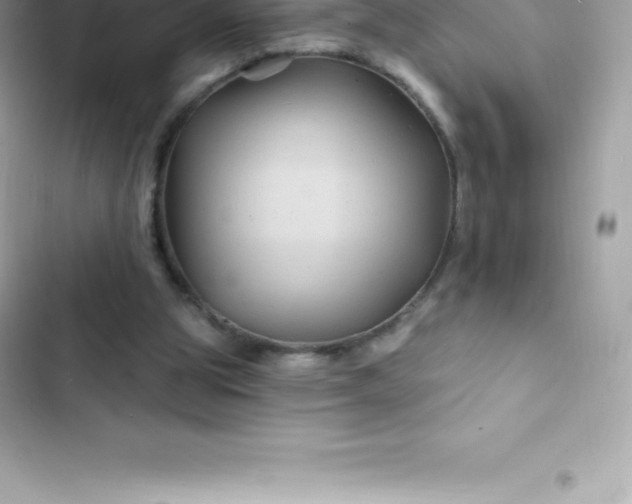 X0000103320153200809192148