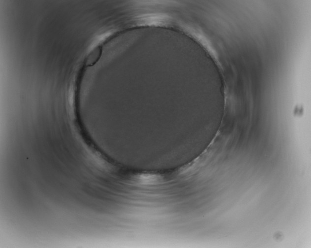 X0000103320154200809192148