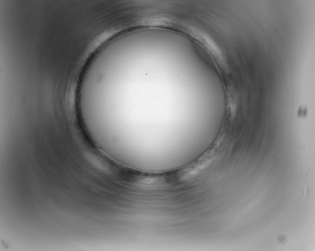 X0000103320155200809192148