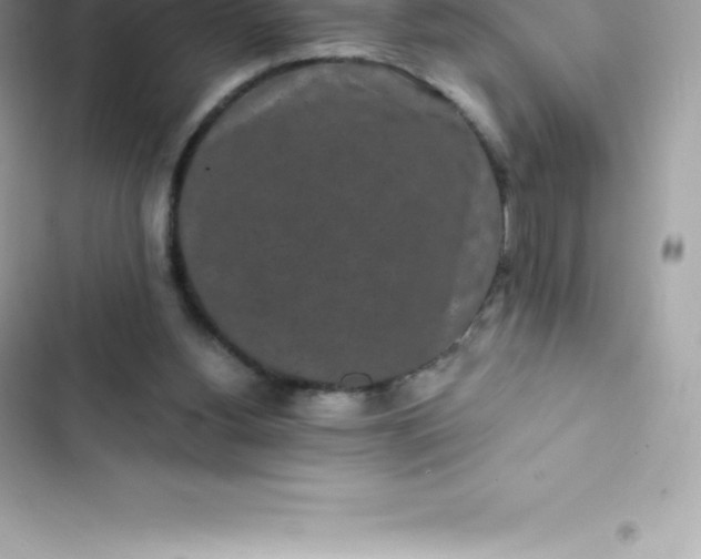 X0000103320156200809192148