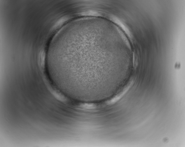 X0000103320157200809192148