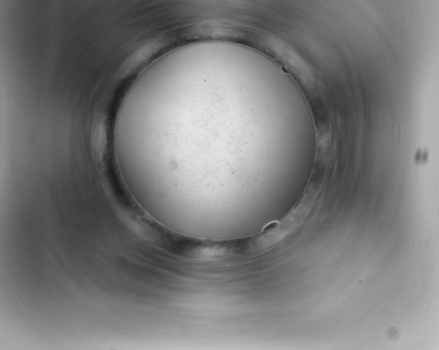 X0000103320158200809192148