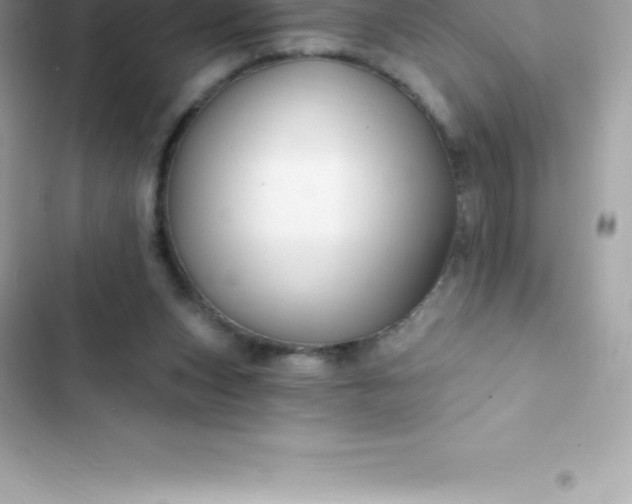 X0000103320159200809192148