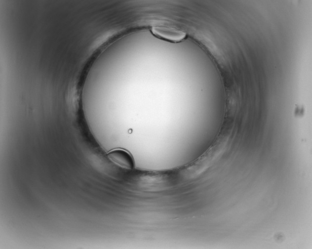 X0000103320160200809192148