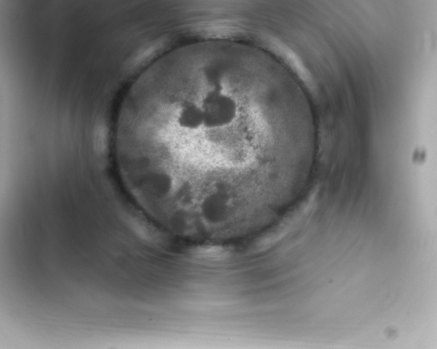 X0000103320161200809192148