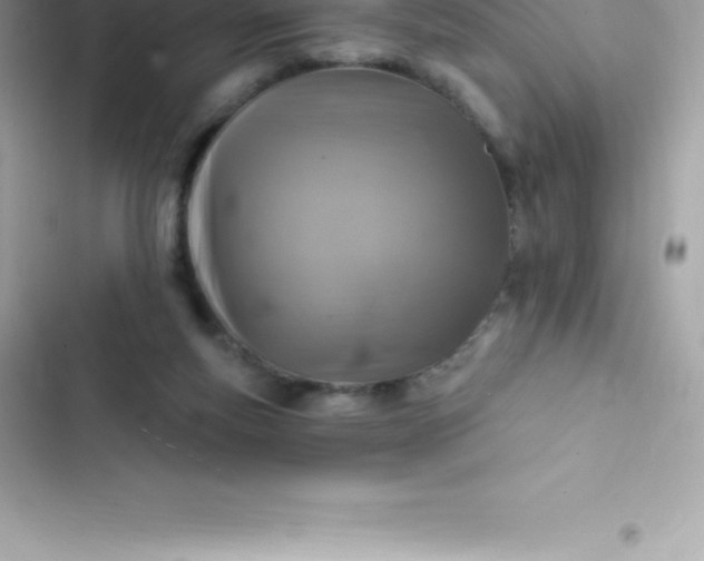 X0000103320163200809192148