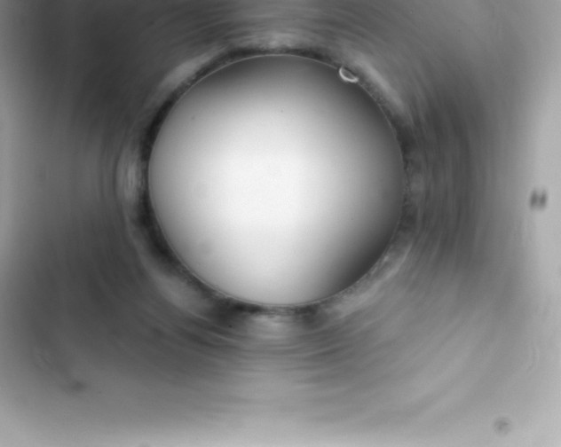 X0000103320164200809192148