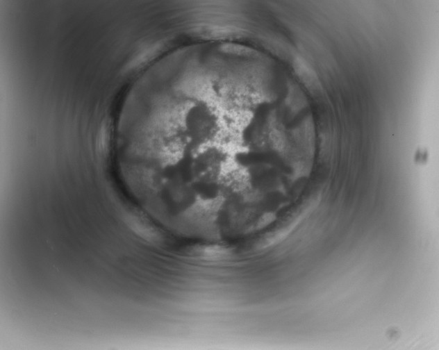 X0000103320165200809192148