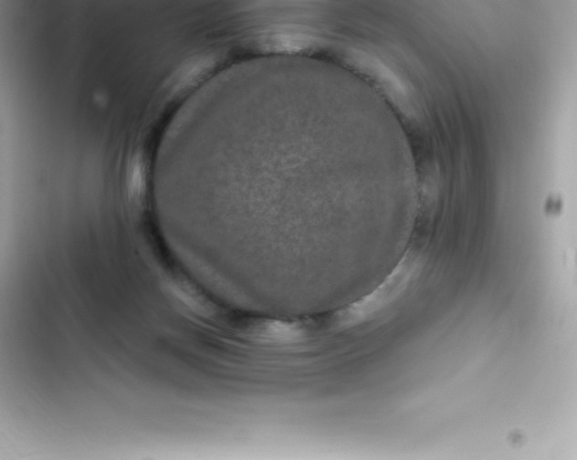 X0000103320166200809192148