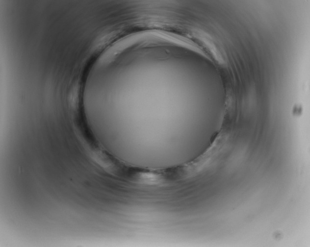 X0000103320167200809192148