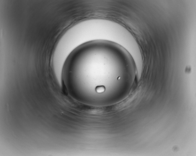 X0000103320168200809192148