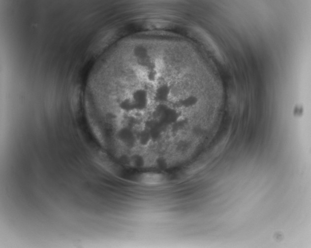 X0000103320169200809192148