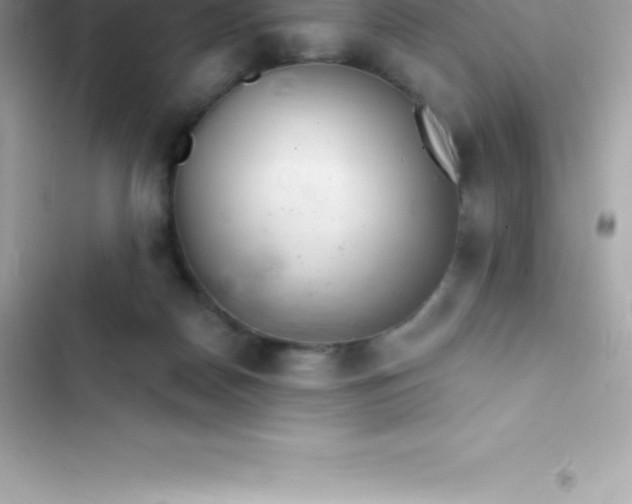 X0000103320170200809192148