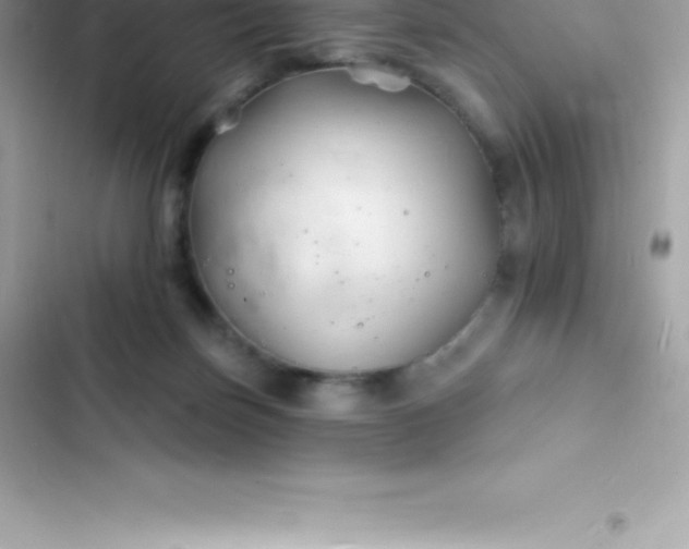 X0000103320171200809192148