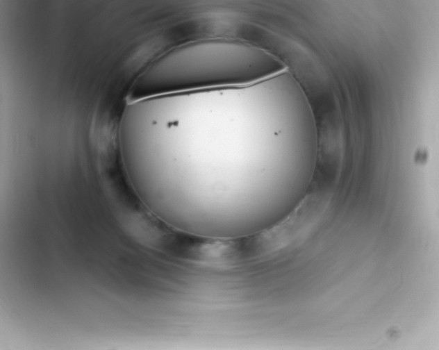 X0000103320172200809192148