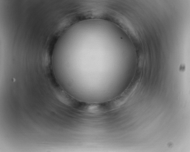 X0000103320173200809192148