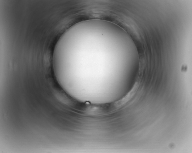 X0000103320174200809192148