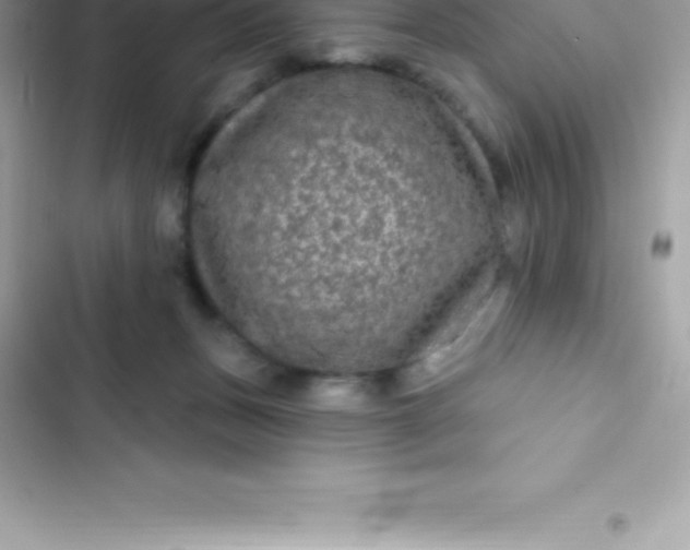 X0000103320175200809192148