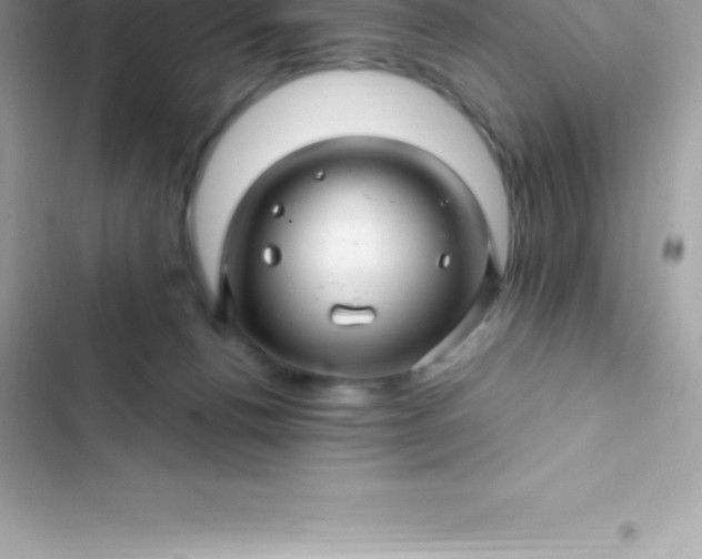 X0000103320176200809192148