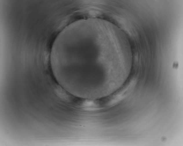 X0000103320177200809192149