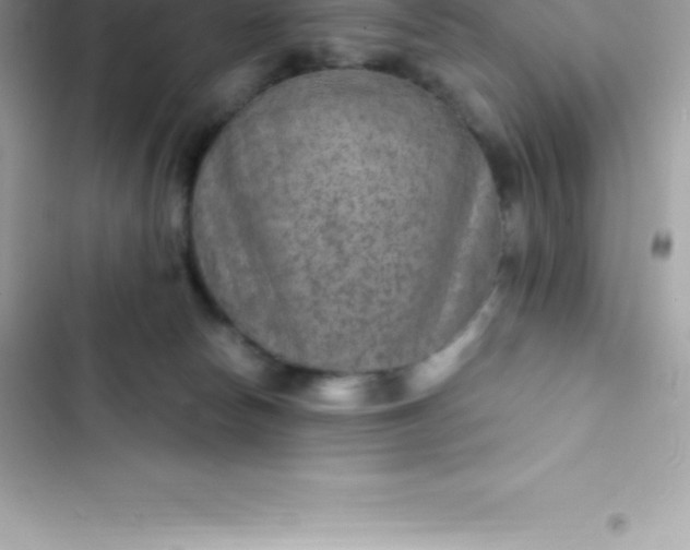 X0000103320178200809192149