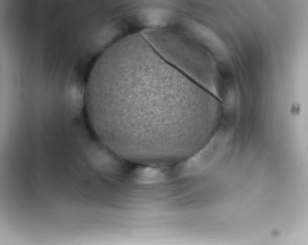 X0000103320180200809192149