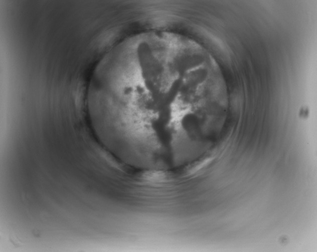 X0000103320181200809192149