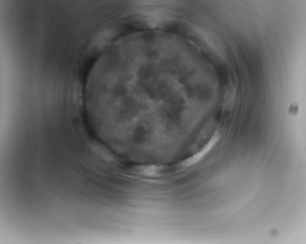 X0000103320182200809192149