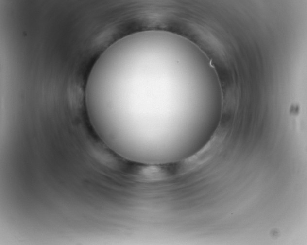 X0000103320183200809192149