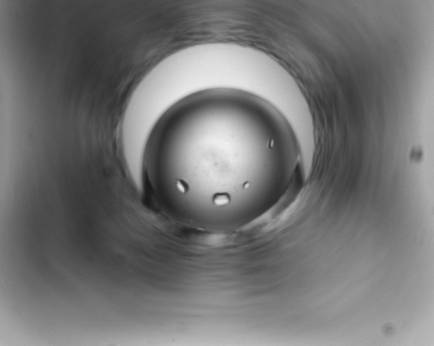 X0000103320184200809192149