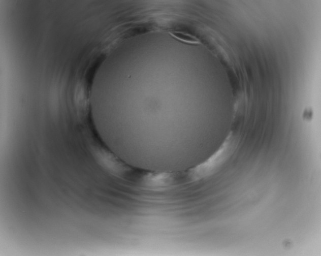 X0000103320186200809192149