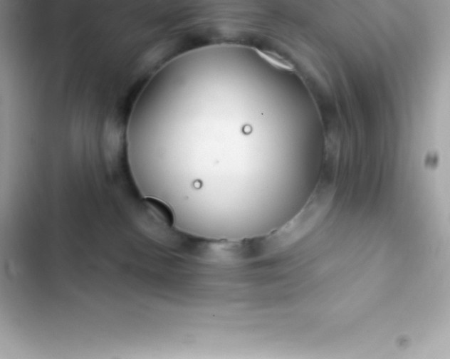 X0000103320188200809192149