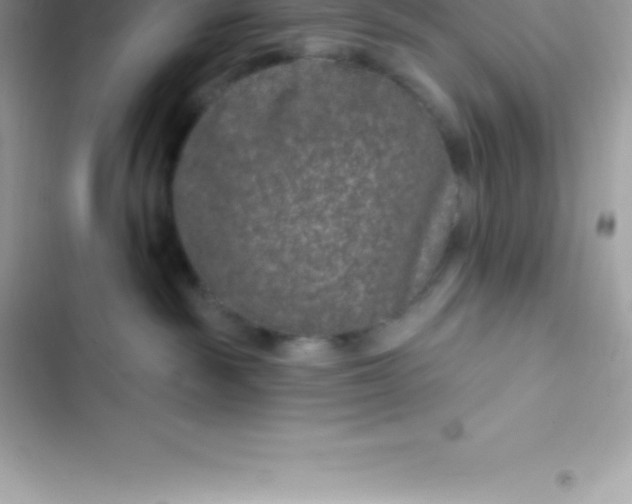 X0000103320189200809192149