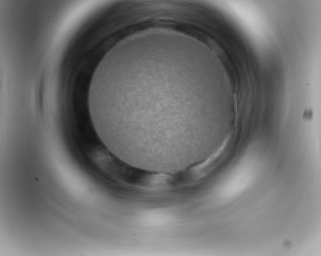 X0000103320190200809192149