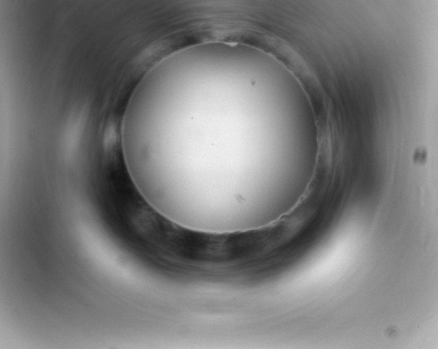 X0000103320191200809192149