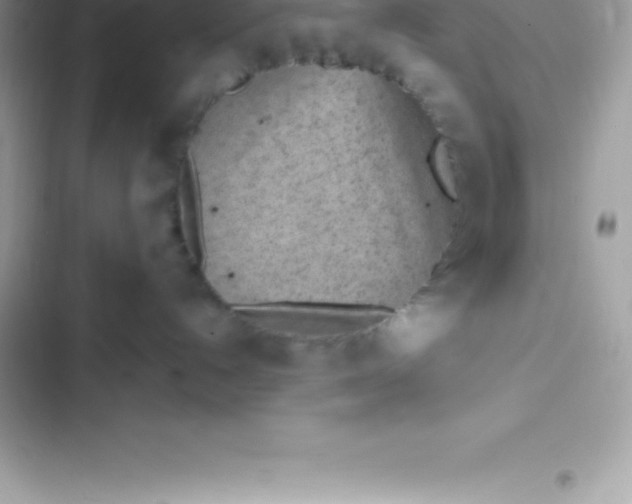 X0000103320192200809192149