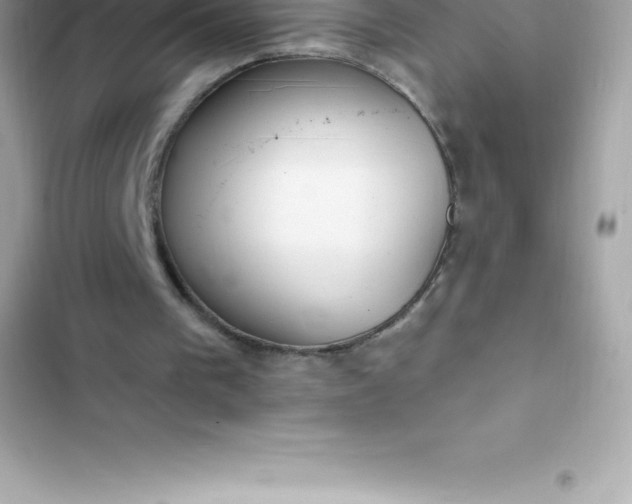 X0000103320193200809192148