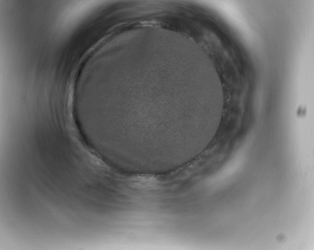 X0000103320194200809192148