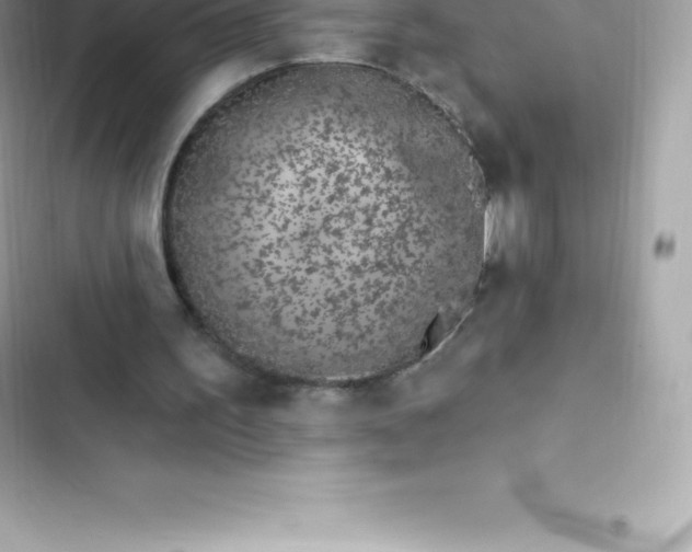 X0000103320195200809192148