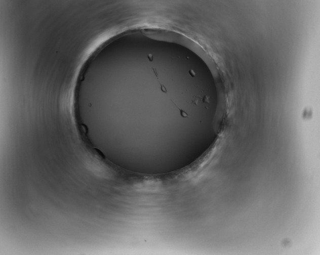 X0000103320196200809192148