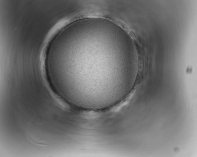 X0000103320197200809192148