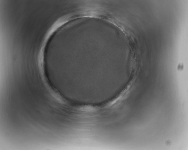 X0000103320198200809192148