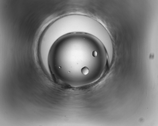 X0000103320199200809192148